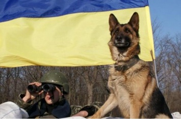 Поножовщина на украинской границе: совершено нападение на военных,. ФОТО ЧП