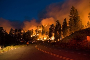 Кинокомпанию Warner Bros эвакуировали из-за лесных пожаров