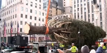 Праздник приближается: в центре Нью-Йорка уже установили елку