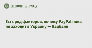 Есть ряд факторов, почему PayPal пока не заходит в Украину - Нацбанк