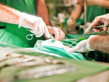 Врачи Ставропольского края планируют делать операции по трансплантации сердца