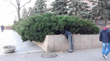 У Николаевской ОГА парень искал «закладку» - полиция не отреагировала