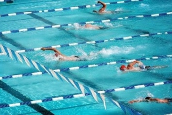 Харьковские спортсмены завоевали золотые медали на Кубке Украины по плаванию