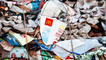 Киевсовет просит ВР поднять штрафы за незаконный выброс мусора