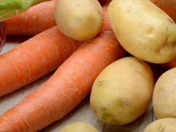 Диетолог рассказала, кому не стоит есть морковь и картошку
