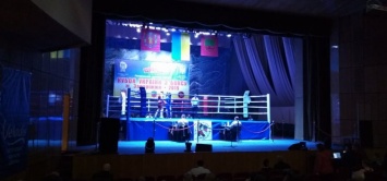 В Запорожье съехались боксеры со всей Украины