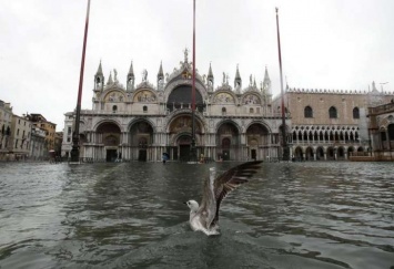 В Венеции объявят режим стихийного бедствия из-за наводнений