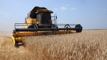 В Донецкой области урожай зерновых вырос на 40%