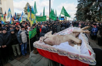 По Киеву носили гроб с убитым животным (видео)