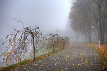 Погода на 14 ноября: где в Украине будет теплее всего