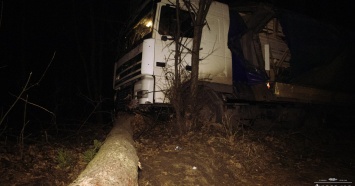 Под Киевом из-за уснувшего водителя фура эпично улетела прямо в лес