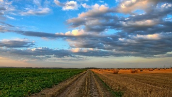 Сколько будет стоить земля в Украине после открытия рынка (говорят о $10 000 гектар!)