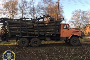 Вырубка леса в Харьковской области: разоблачены лесничие