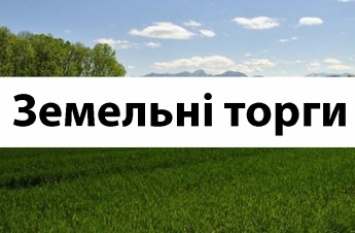 Под Мелитополем земельные плантации выставляют на торги