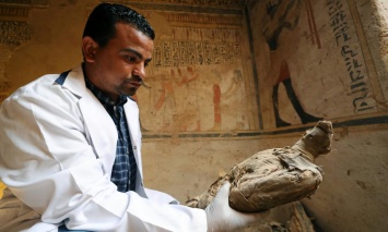 Ученые раскрыли тайну священных птичьих мумий Древнего Египта