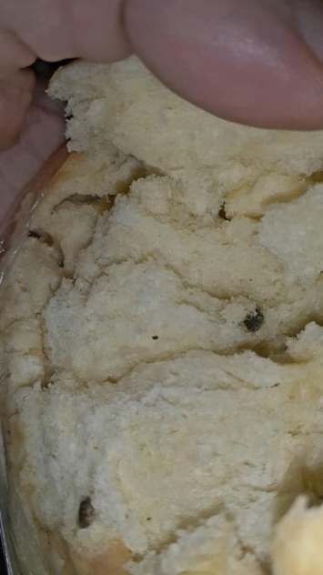 В николаевской школе детей кормят булочками с мышиным пометом