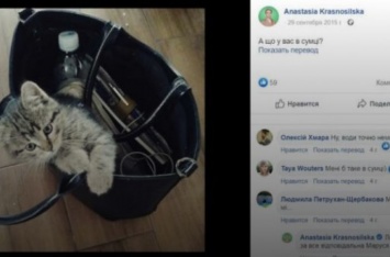 Депутат от "Слуги народа" занесла в декларацию... кошку