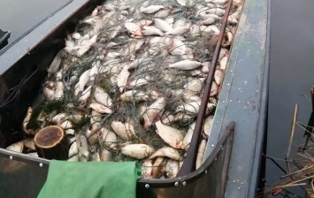 В Херсоне поймали браконьеров с полной лодкой рыбы