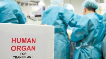 Почему в запорожских больницах не хотят связываться с трансплантацией