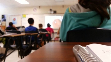 Заткнет за пояс любого бойца без правил: в США педагог устроила неслабый махач с ученицей (видео)