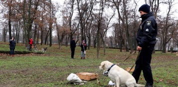 В Днепре открылась первая площадка для дрессировки собак