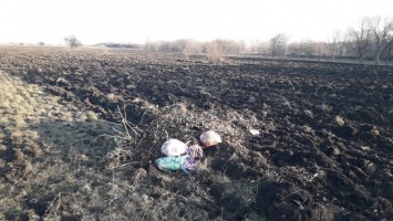 Жители Покровска систематически вывозят мусор на территорию новосозданного питомника сосен