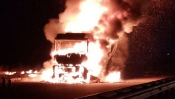 Под Киевом возгорание грузовика спровоцировало пожар и масштабное ДТП
