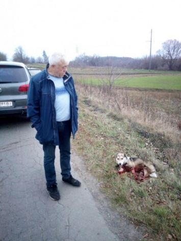 Директор Хмельницкого госархива привязал собаку к машине и 1,5 км тащил по дороге
