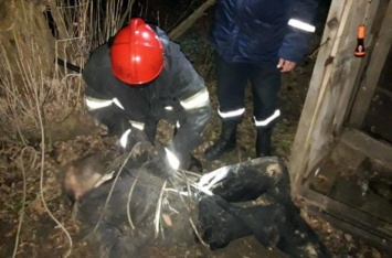 На Днепропетровщине мужчина провалился в 7-метровую яму уличного туалета