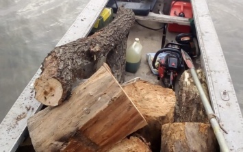 На Херсонщине полицейские разоблачили двух граждан, которые незаконно пилили деревья