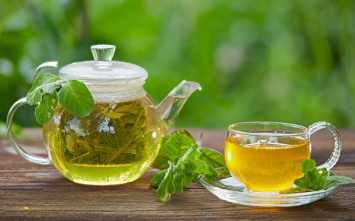 Зеленый чай помогает похудеть подопытным крысам
