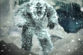 Ученые разгадали загадку снежного человека