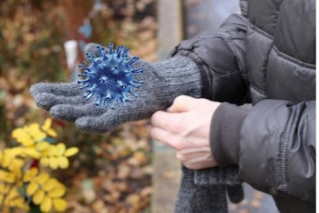 Рука потеет - микроб балдеет: В зимних перчатках бактерий оказалось в 5 раз больше, чем в унитазе