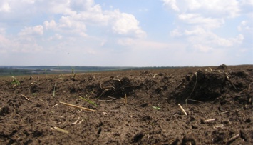 В Сумской области неизвестные отравили землю «дустом»