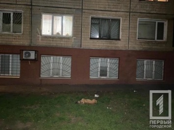В Кривом Роге погиб пес, которого выбросили из окна многоэтажки, - ФОТО