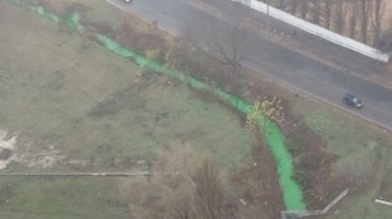 В Киеве позеленела река