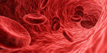 Заболевания крови можно лечить с помощью исскуственных клеток