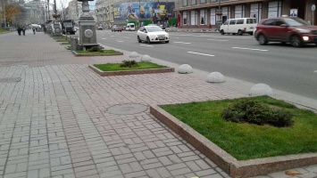 В Киеве на Крещатике вместо каштанов высадили можжевельник: подробности