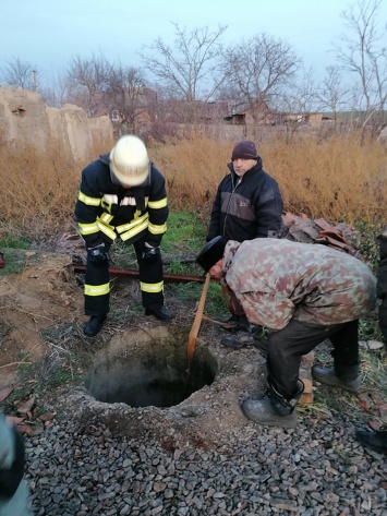 В Никопольском районе спасатели доставали корову из ямы
