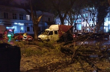 В Одессе ураган снес крыши, деревья и рекламные щиты: фото последствий непогоды