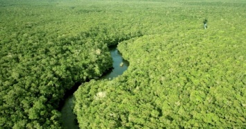 В амазонские джунгли хотят провести интернет (ФОТО)