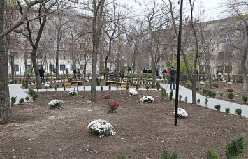 Полудикий сквер имени Александрова стал стильной городской зеленой зоной