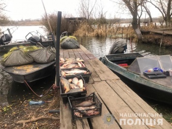 Браконьеры притворились учеными и наловили в Днестровском лимане рыбы на 50 тысяч