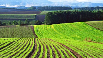 Фермеры Днепропетровщины опасаются открытия рынка земли в Украине