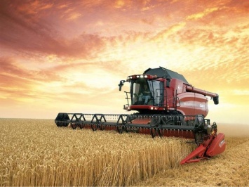 Среди лидеров страны: на Черниговщине собрали больше 4 млн тонн зерновых