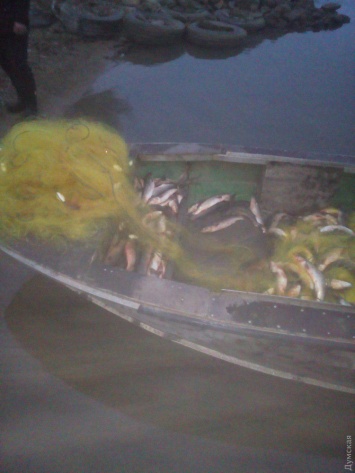 Житель области наловил в Хаджибейском лимане рыбы на четверть миллиона гривен