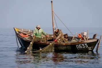 Украина согласовала с РФ проект протокола о вылове рыбы в Азовском море