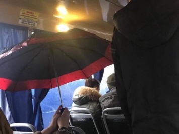 Ехали под зонтами: в Киеве у маршрутки протекла крыша
