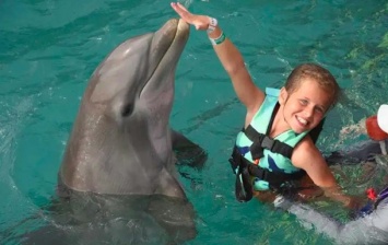 Дельфины искусали и попытались утопить девочку в бассейне