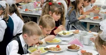 Энергодарский горсовет закажет за 8,8 миллиона гривен горячее питание в школах